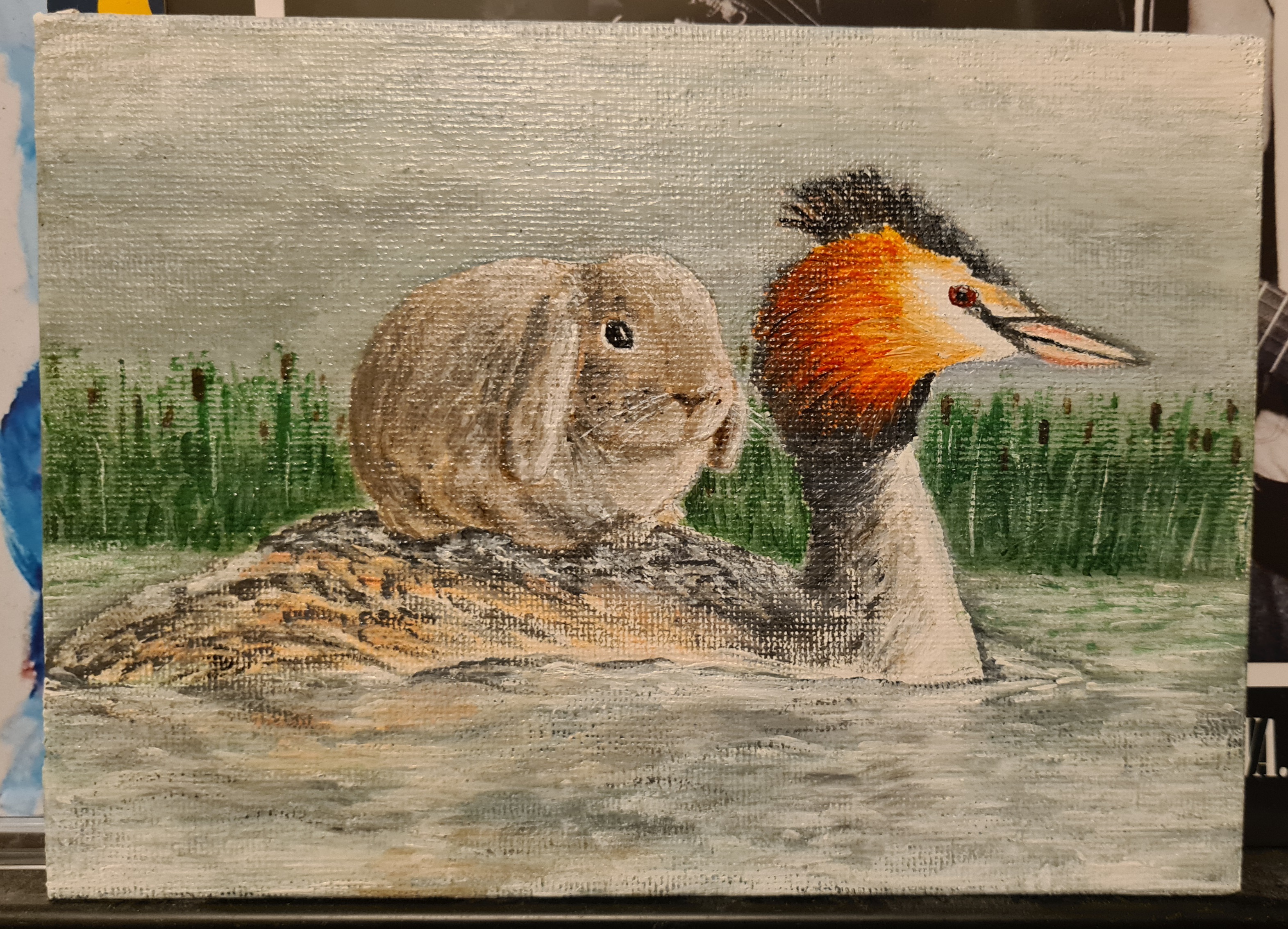 grebe