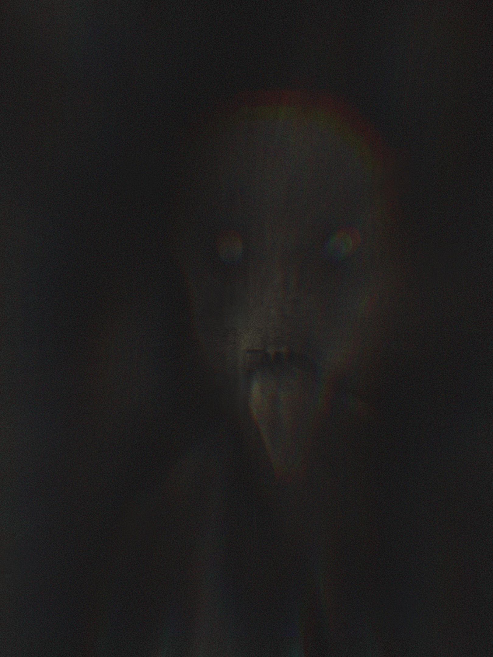 scaryface